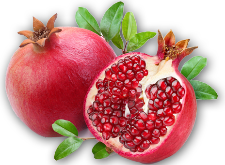 nar.png